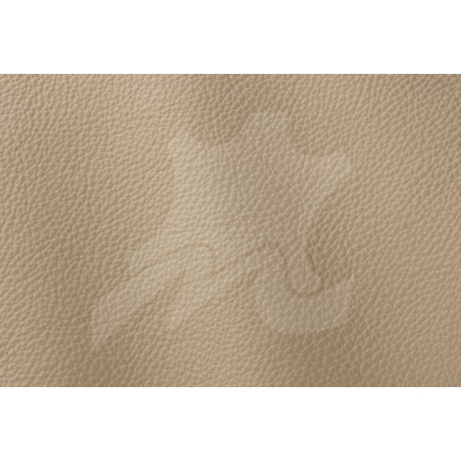 Aligo Group фото